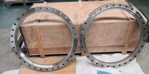 Titanium Flange Large