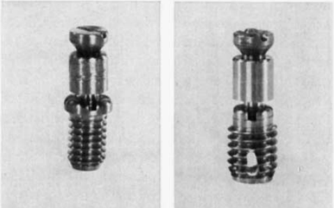 Branemarks Research Titanium Implant Screws